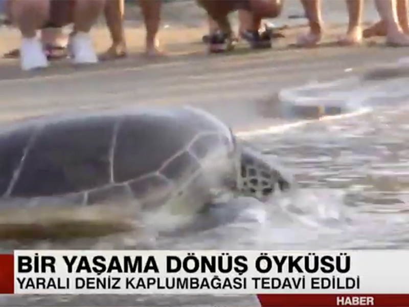CNN Türk - Yaşama Dönüş Öyküsü