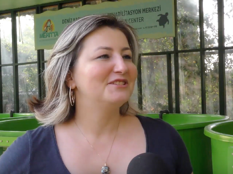 Haber Global - Yaralı Kaplumbağaların Umudu