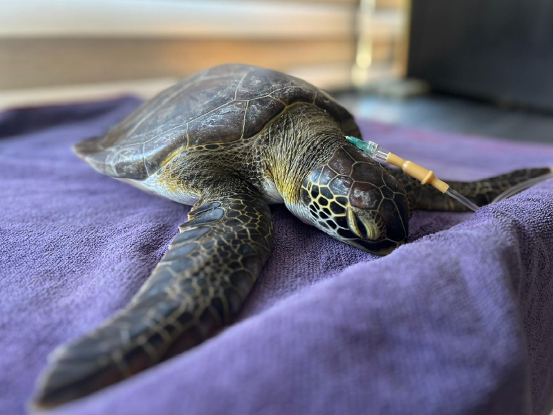 Yusuf Balıkçılık