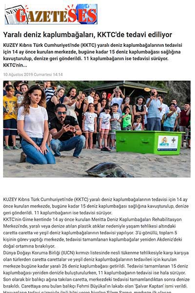 Yaralı deniz kaplumbağaları, KKTC'de tedavi ediliyor