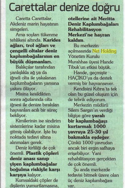 Carettalar Denize Doğru