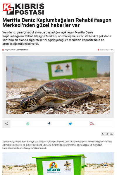 Meritta Deniz Kaplumbağaları Rehabilitasyon Merkezi’nden güzel haberler var