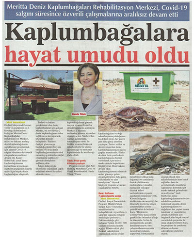 Kaplumbağalara hayat umudu oldu