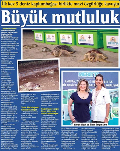 İlk Kez 5 Deniz Kaplumbağası Birlikte Mavi Özgürlüğe Kavuştu