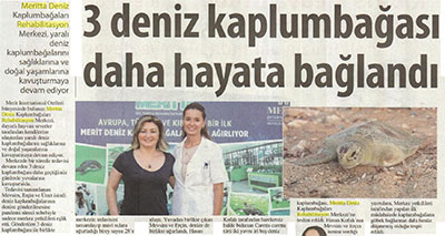 3 Deniz Kaplumbağası Daha Hayata Bağlandı