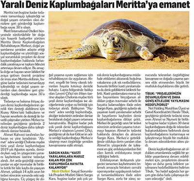 Yaralı deniz kaplumbağaları Meritta'ya emanet