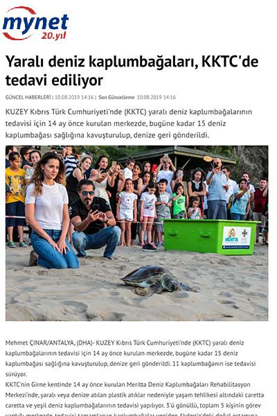 Yaralı deniz kaplumbağaları, KKTC'de tedavi ediliyor