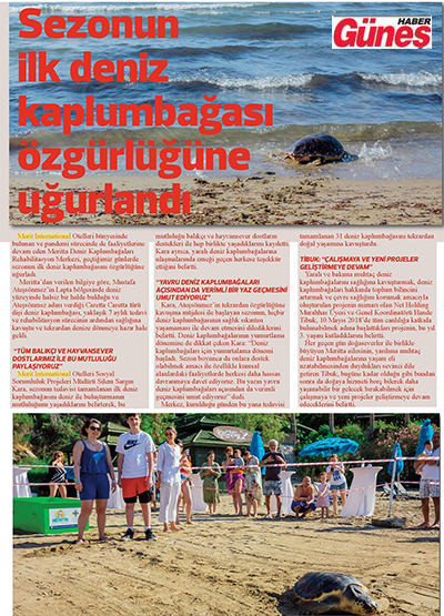 Sezonun ilk Denizkaplumbağası Özgürlüğüne uğurlandı