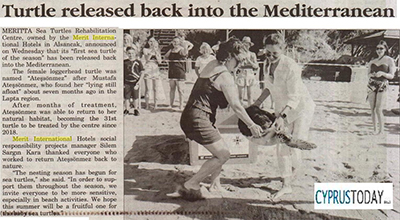 Turtle released back into the Mediterranean