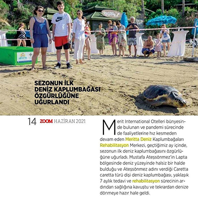 Sezonun ilk Deniz Kaplumbağası Özgürlüğüne Kavuştu