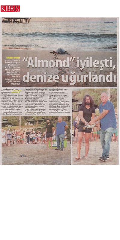 Almond İyilesti Denize Uğurlandi