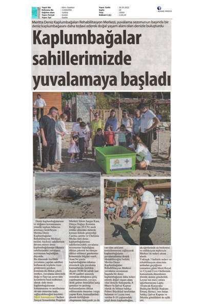 Kaplumbağalar Sahillerimizde Yumurtlamaya Başladı