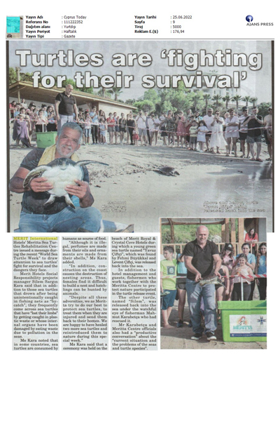 Turtles are "fighting" for their survival