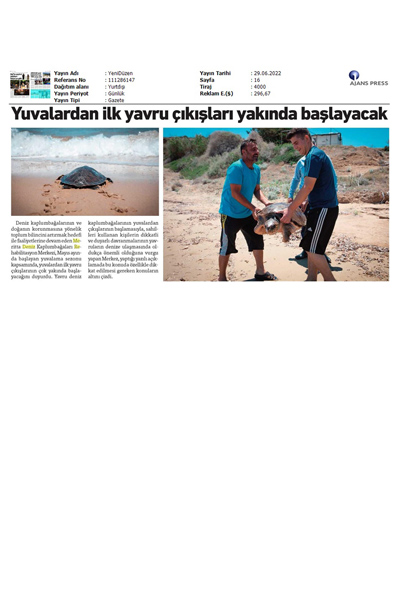 YUVALARDAN İLK YAVRU ÇIKIŞLARI YAKINDA BAŞLAYACAK