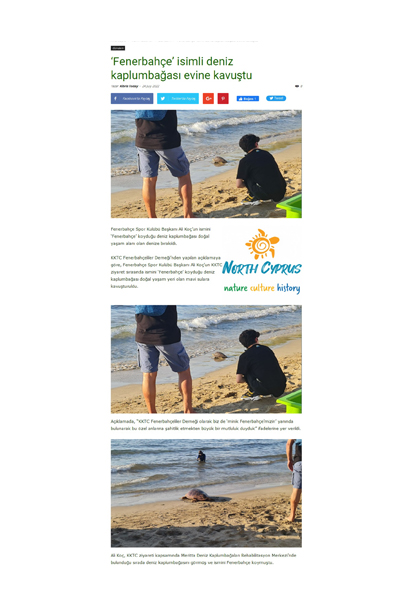 Fenerbahçe isimli deniz kaplumbağası evine kavuştu