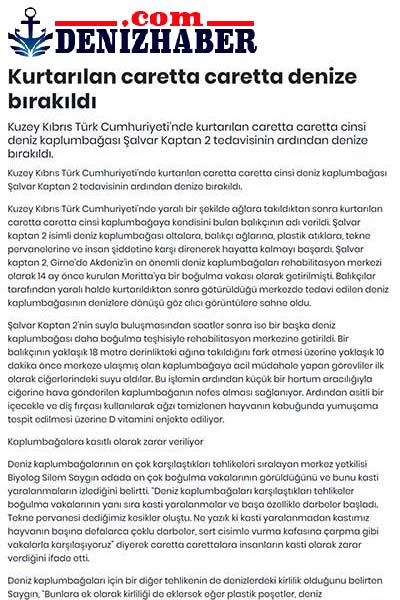 Kurtarılan caretta caretta denize bırakıldı