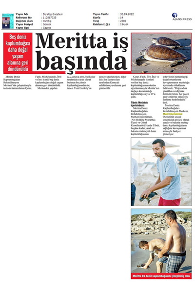 Merit İş Başında