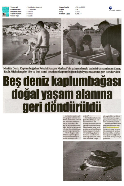 Beş Deniz Kaplumbağası Doğal Yaşam Alanlarına Geri Döndü