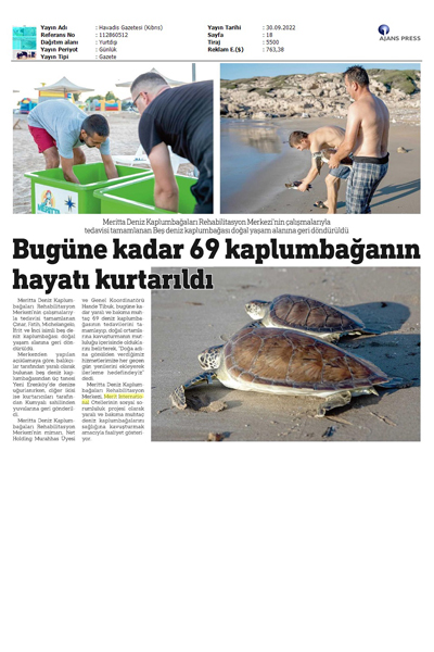 Beş Deniz Kaplumbağası Doğal Yaşam Alanlarına Geri Döndü