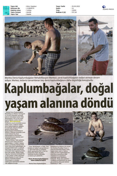 Deniz Kaplumbağaları Yaşam Alanlarına Döndü