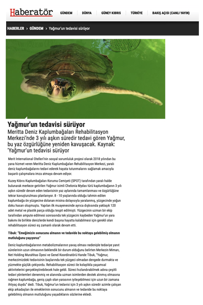 Yağmur yuvasına Kavuşacak