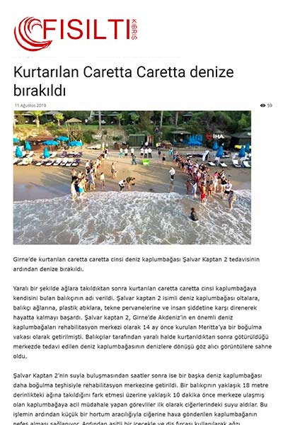 Kurtarılan Caretta Caretta denize bırakıldı