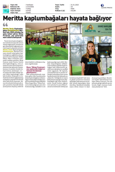 Meritta Kaplumbağaları hayata bağlıyor