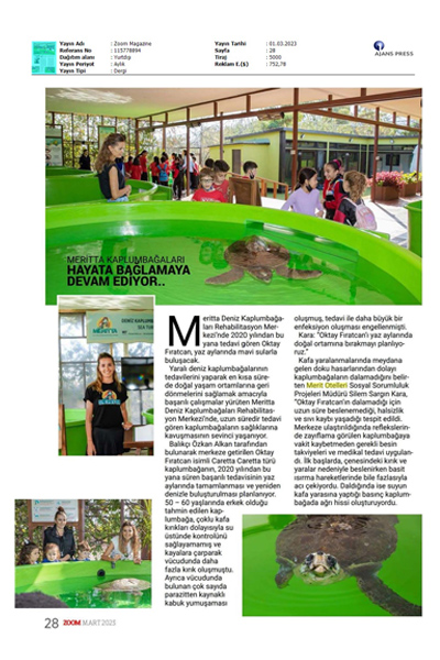 Meritta kaplumbağaları hayata bağlamaya devam ediyor