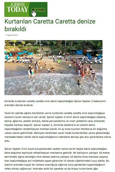 Kurtarılan Caretta Caretta denize bırakıldı