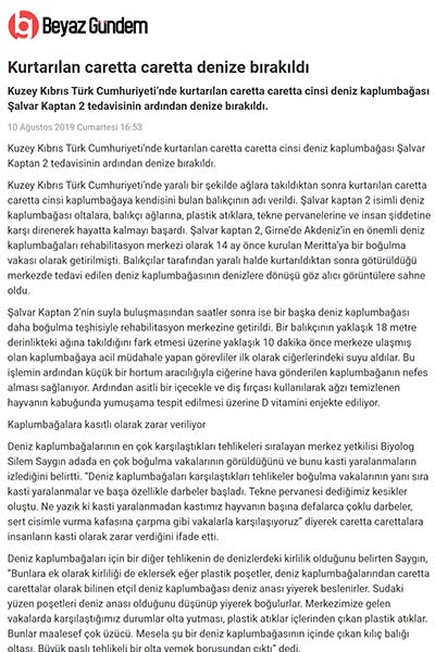 Kurtarılan Caretta Caretta Denize Bırakıldı