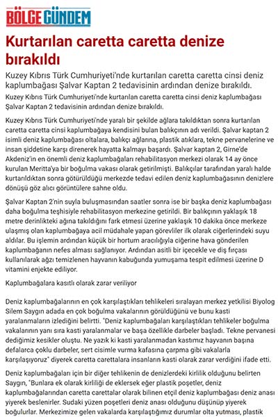 Kurtarılan Caretta Caretta Denize Bırakıldı