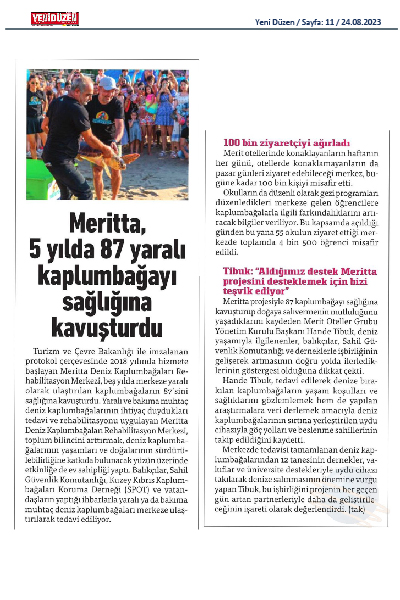 5 yılda 87 kaplumbağa sağlığına kavuştu