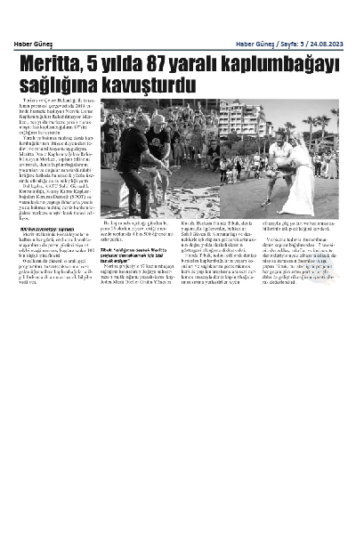 5 yılda 87 kaplumbağa sağlığına kavuştu