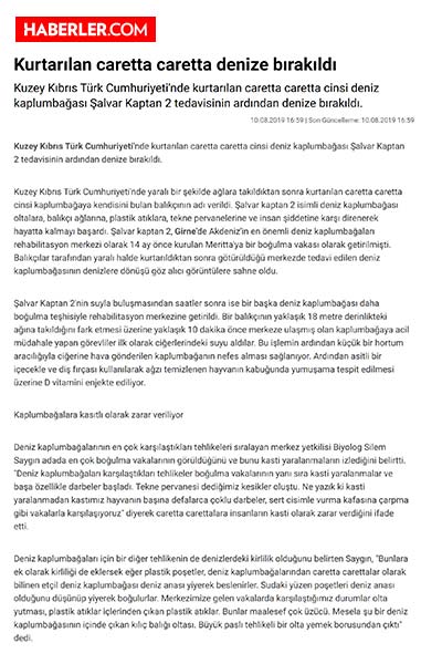 Kurtarılan Caretta Caretta Denize Bırakıldı