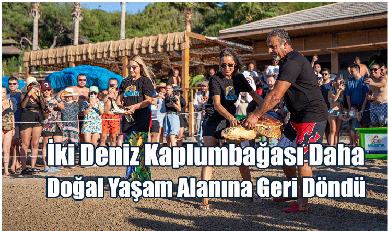 İki Deniz Kaplumbağası Daha Doğal Yaşam Alanına Geri Döndü