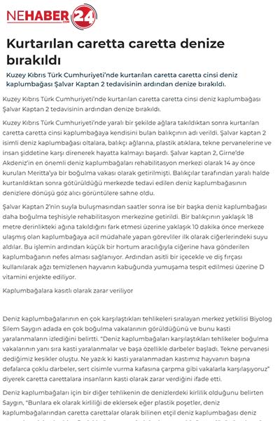 Kurtarılan Caretta Caretta Denize Bırakıldı