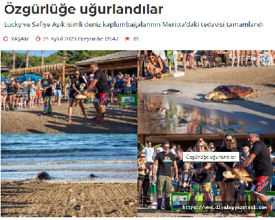 Tedavileri tamamlanan iki deniz kaplumbağası yaşam alanlarına geri döndü