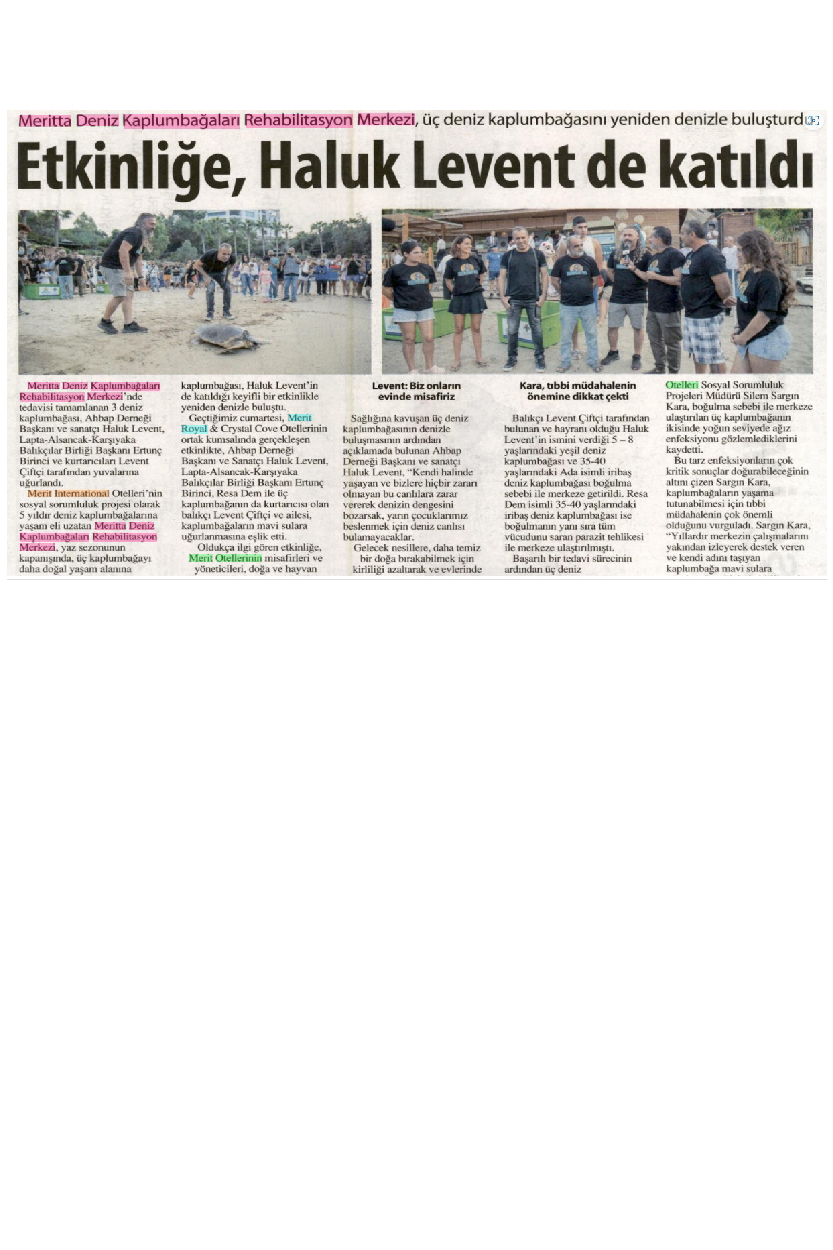 3 Deniz Kaplumbağası Yuvalarına Uğurlandı