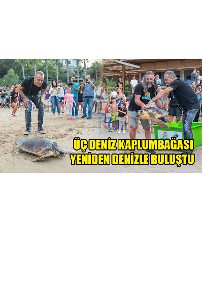3 Deniz Kaplumbağası Yuvalarına Uğurlandı