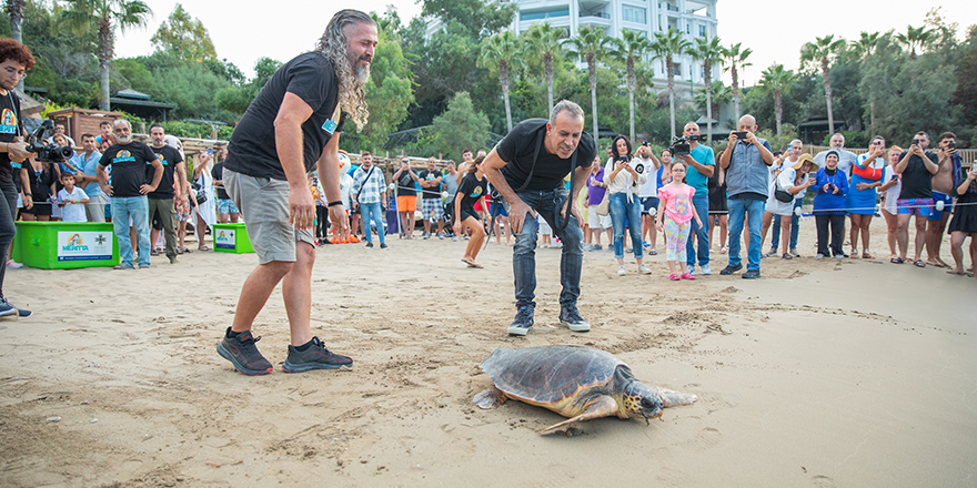 3 Deniz Kaplumbağası Denize Uğurlandı