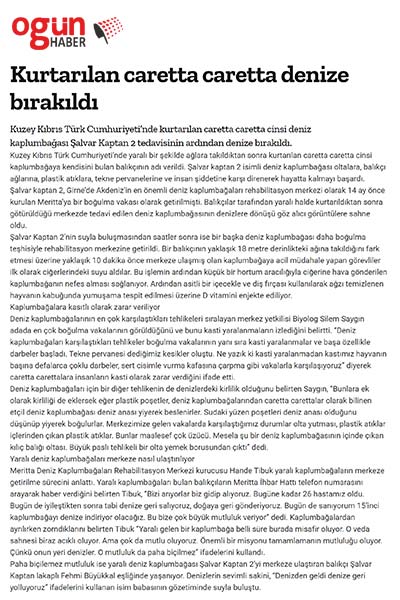 Kurtarılan caretta caretta denize bırakıldı