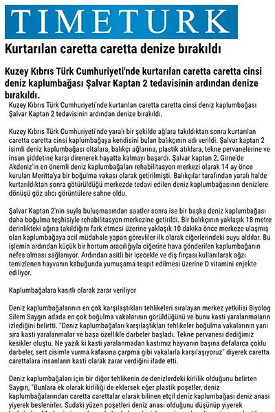Kurtarılan caretta caretta denize bırakıldı