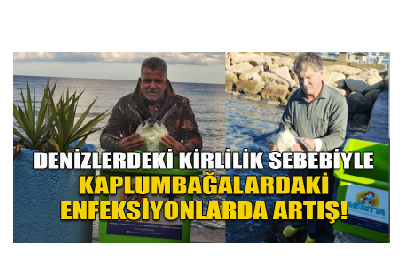 Toplumsal Duyarlılık İstendi