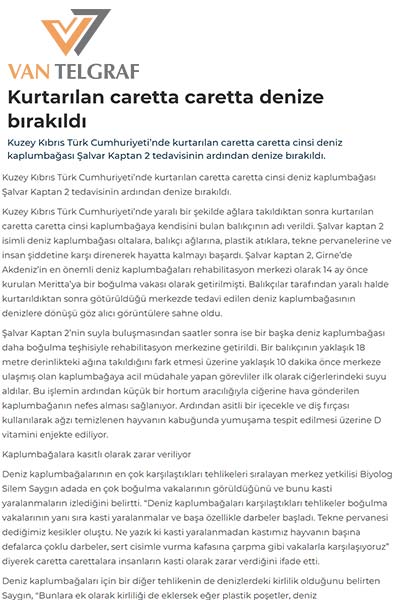 Kurtarılan caretta caretta denize bırakıldı