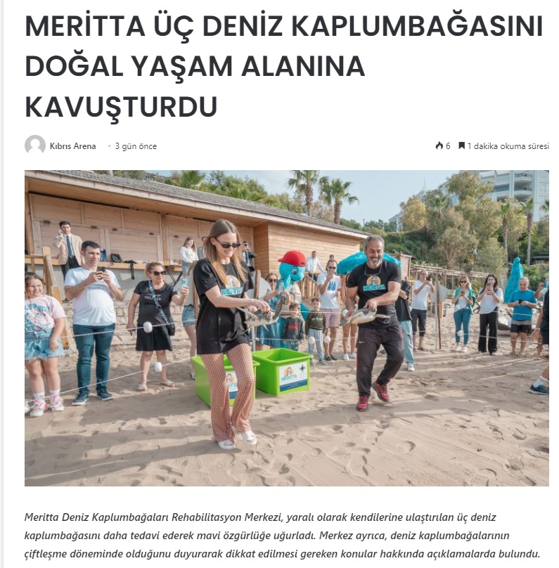 Meritta Üç Deniz Kaplumbağasını Doğal Yaşam Alanına Kavuşturdu