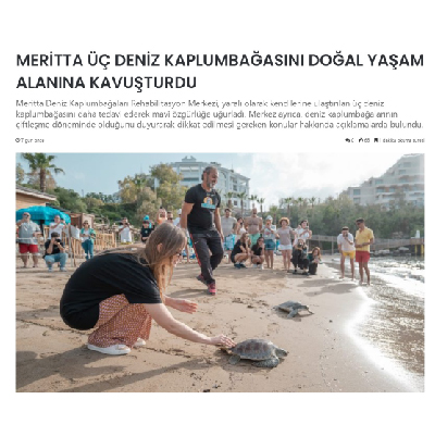Meritta Üç Deniz Kaplumbağasını Doğal Yaşam Alanına Kavuşturdu