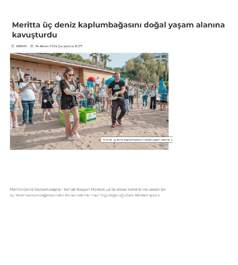Meritta Üç Deniz Kaplumbağasını Doğal Yaşam Alanına Kavuşturdu