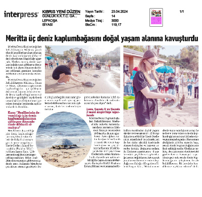 Meritta Üç Deniz Kaplumbağasını Doğal Yaşam Alanına Kavuşturdu