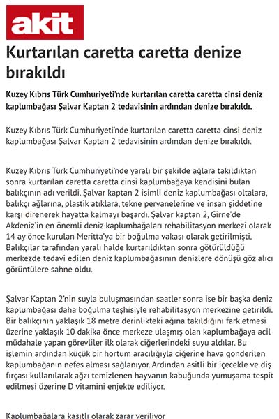 Kurtarılan caretta caretta denize bırakıldı