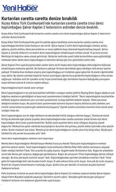 Kurtarılan caretta caretta denize bırakıldı